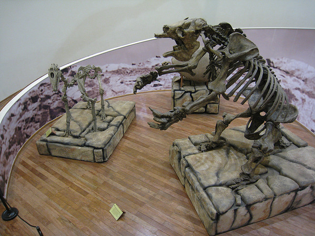 Humanidades y tercera cultura