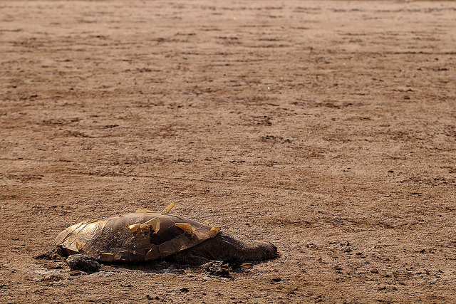 Socialismo, pena de muerte, tortura