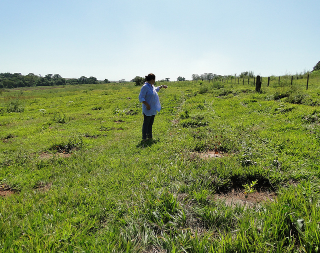 Fragmentos y sistemas éticos