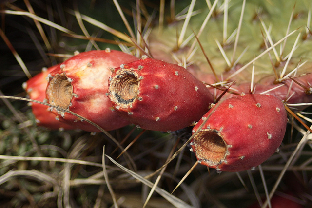 Tres notas sobre civilización y barbarie