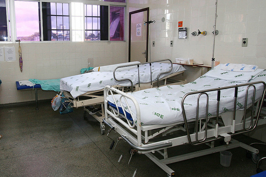 Eutanasia y política