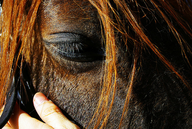 Prójimo y lejano: dialogando con Valverde sobre una paradoja histórica