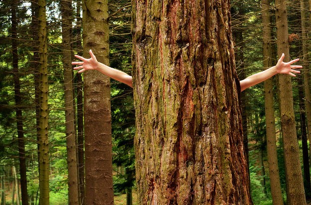 La ecología política de la pobreza